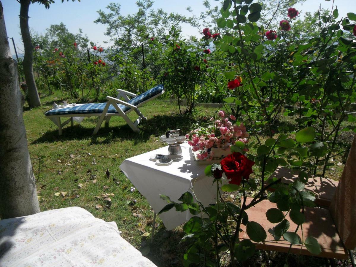 House With Stunning Views * Chiusdino