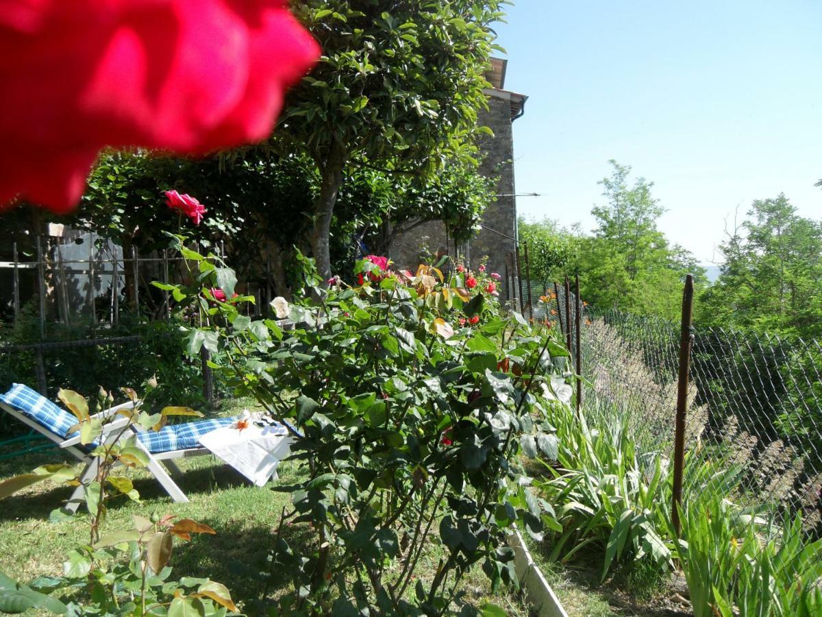 House With Stunning Views Holiday home Chiusdino