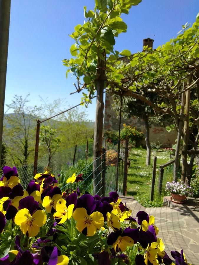 House With Stunning Views Chiusdino